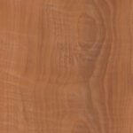 Sugar-Maple