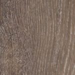 Pilgrim-Oak