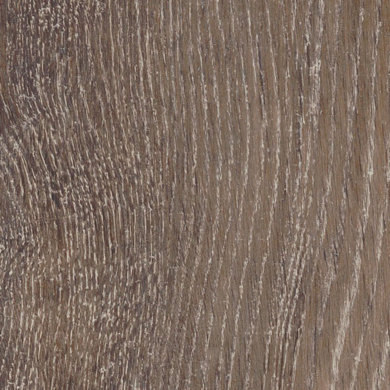 Pilgrim-Oak