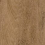 Rotterdam-Oak