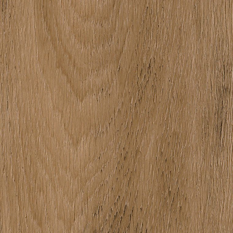 Rotterdam-Oak